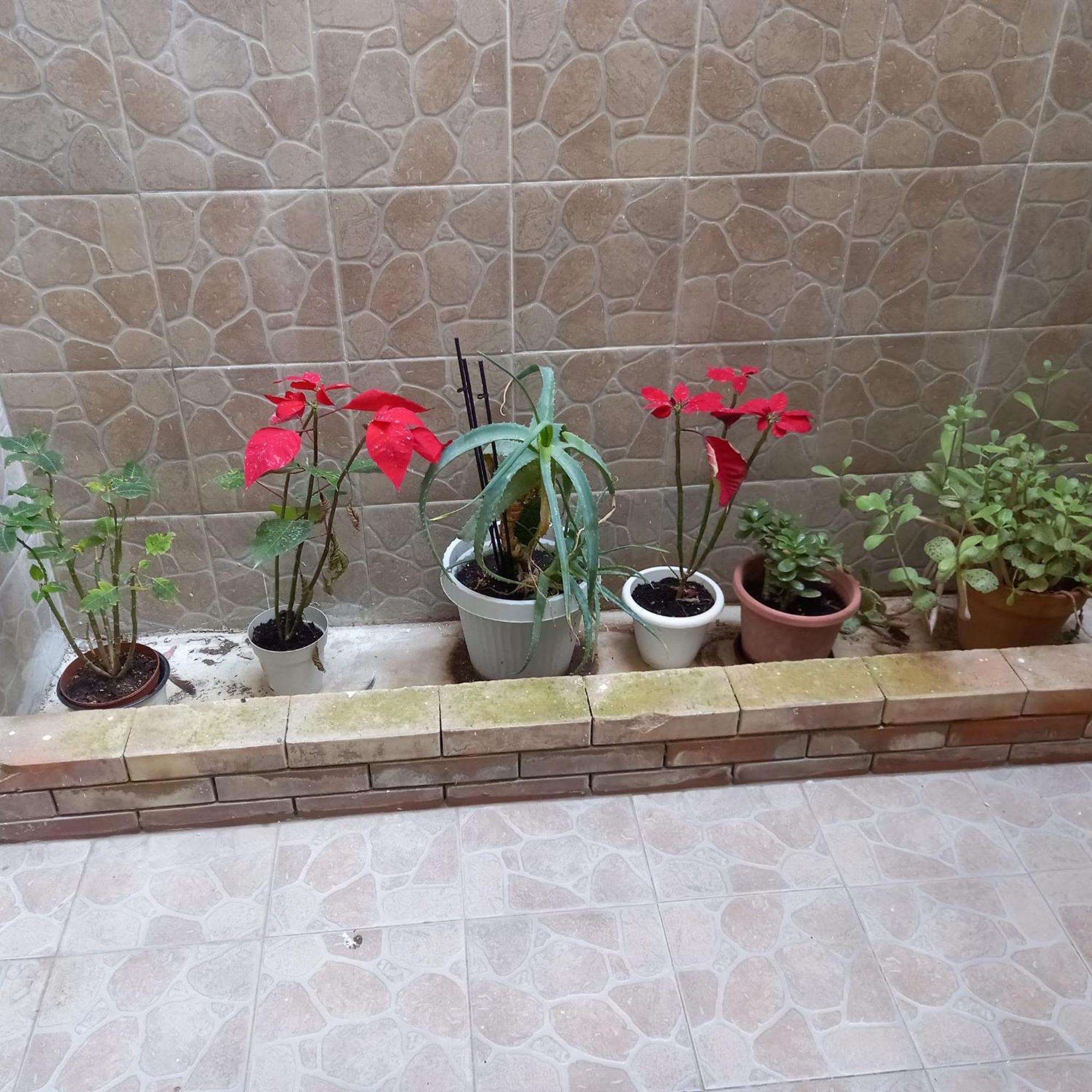 팔레르모 A Casa Di Lori 아파트 외부 사진